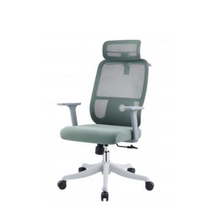 Blue Ergonomic Design Office Chair with Wheels - Dual Back Support | LEUKHOME